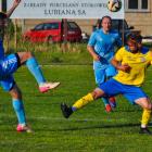 zdjęcie nr 10