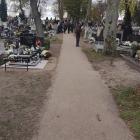 zdjęcie nr 24