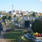 zdjęcie nr 45
