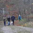zdjęcie nr 37