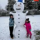 zdjęcie nr 31