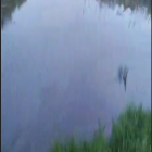 Fotka nr 2 z 4