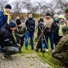 zdjęcie nr 9