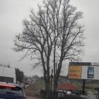 zdjęcie nr 19