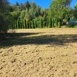 zdjęcie nr 