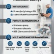 zdjęcie nr 