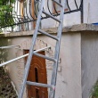 zdjęcie nr 