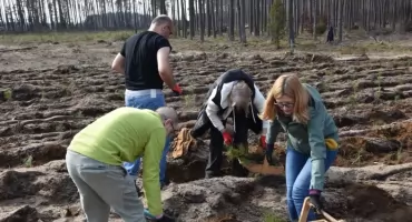 Tysiące drzew posadzonych w gminie Kościerzyna