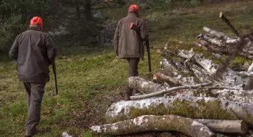 Zakaz polowań zbiorowych w powiecie kościerskim. To efekt rozporządzenia wojewody