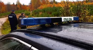 Straż Leśna i policja patrolują lasy. Chcą zapobiec kradzieżom przed Wszystkimi Świętymi