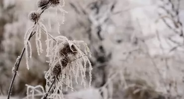 IMGW ostrzega przed silnym mrozem. Temperatury spadną nawet do –17°C