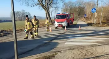 Droga Puc-Śledziowa Huta zablokowana. Nieznani sprawcy ponacinali przydrożne drzewa!