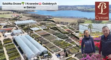 Jedno drzewko?! Rośliny same wskakiwały do auta!