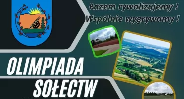 Olimpiada Sołectw Gminy Liniewo. Sport, zabawa i integracja