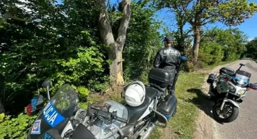 Śmiertelny wypadek na drodze wojewódzkiej nr 214. Eksperci pracowali na miejscu tragedii