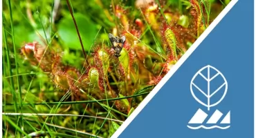 Zagadki, przyroda i aktywny wypoczynek. Wakacje z Wdzydzkim Parkiem Krajobrazowym