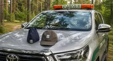 Nielegalne maszynki do jagód, psy bez smyczy, auta w lesie. Wspólne patrole policji i Straży Leśnej