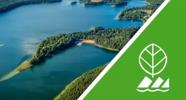 Co skrywa półwysep Lipa? Wdzydzki Park Krajobrazowy zaprasza na spacer pełen przyrodniczych ciekawostek