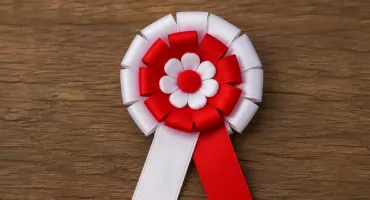 Święto Wojska Polskiego w Będominie. Będzie twórczo i patriotycznie