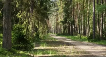 Podróż z Kaszub na Mazury – idealne trasy piesze na wypad z małym dzieckiem