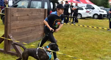 Błoto, przeszkody i psia energia. Wdzydze stały się areną Dogmagedonu K9